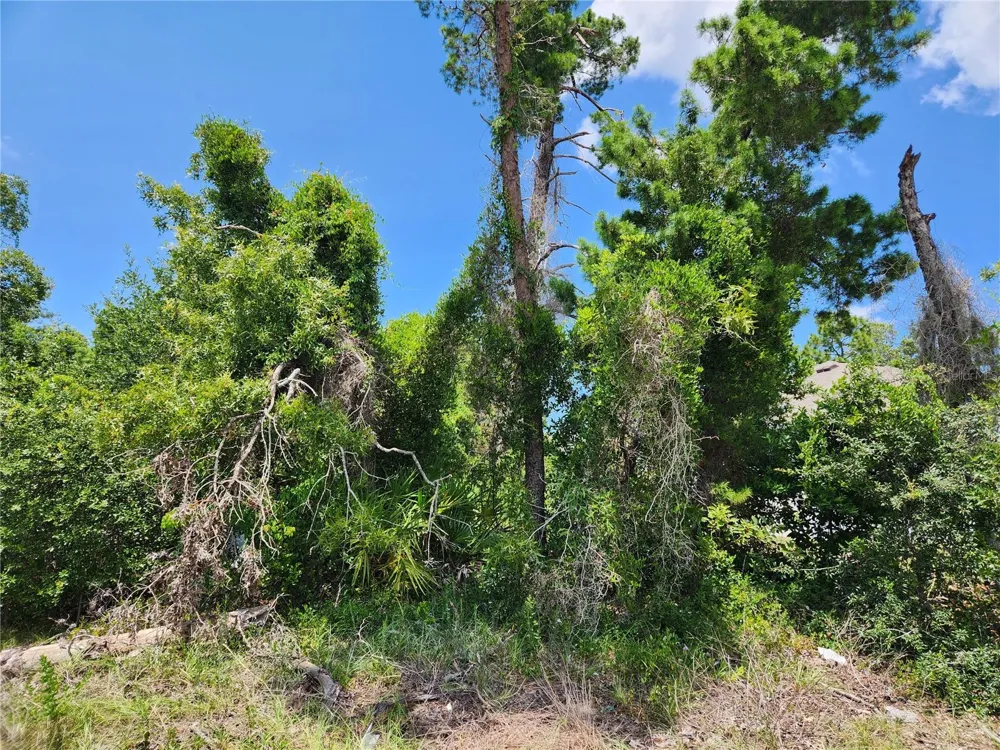 6241 MARINER BOULEVARD #Lot 31 Spring Hill, FL 34609