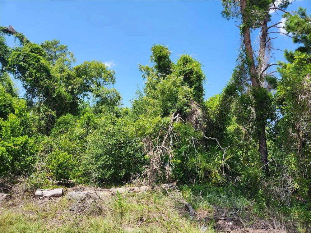 6241 MARINER BOULEVARD #Lot 31 Spring Hill, FL 34609