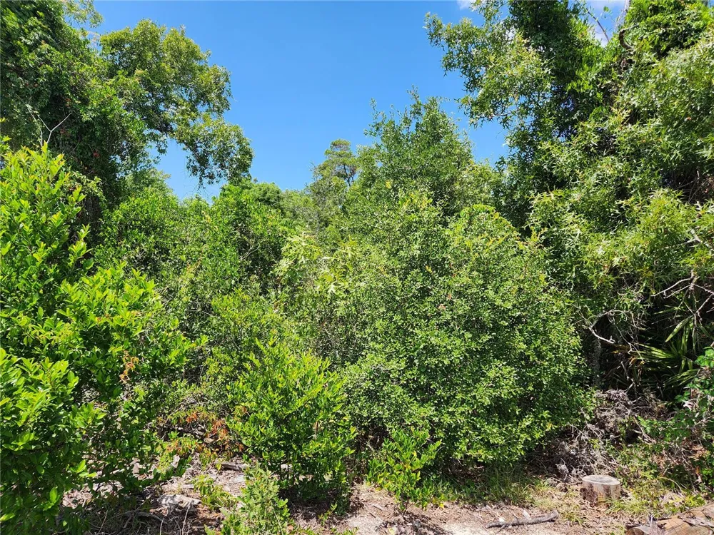 6241 MARINER BOULEVARD #Lot 31 Spring Hill, FL 34609