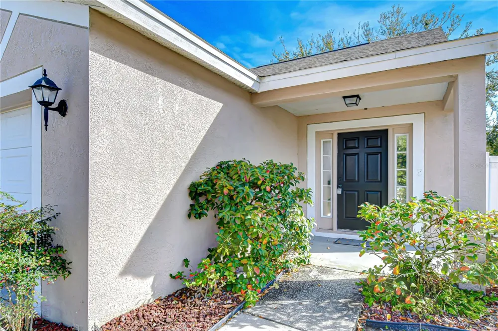 24640 SIENA DRIVE Lutz, FL 33559