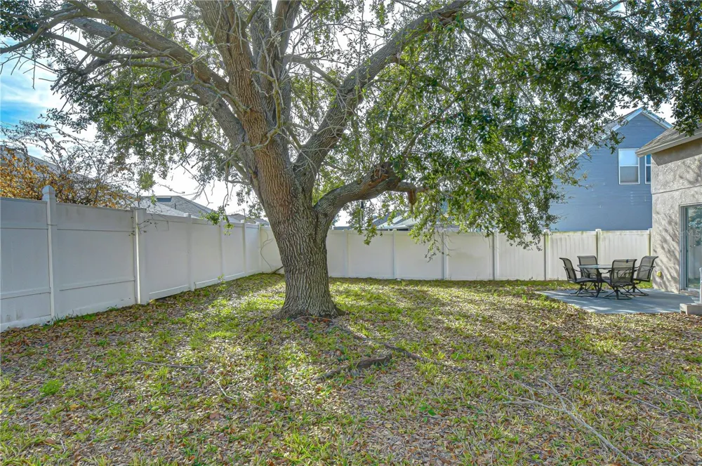 24640 SIENA DRIVE Lutz, FL 33559