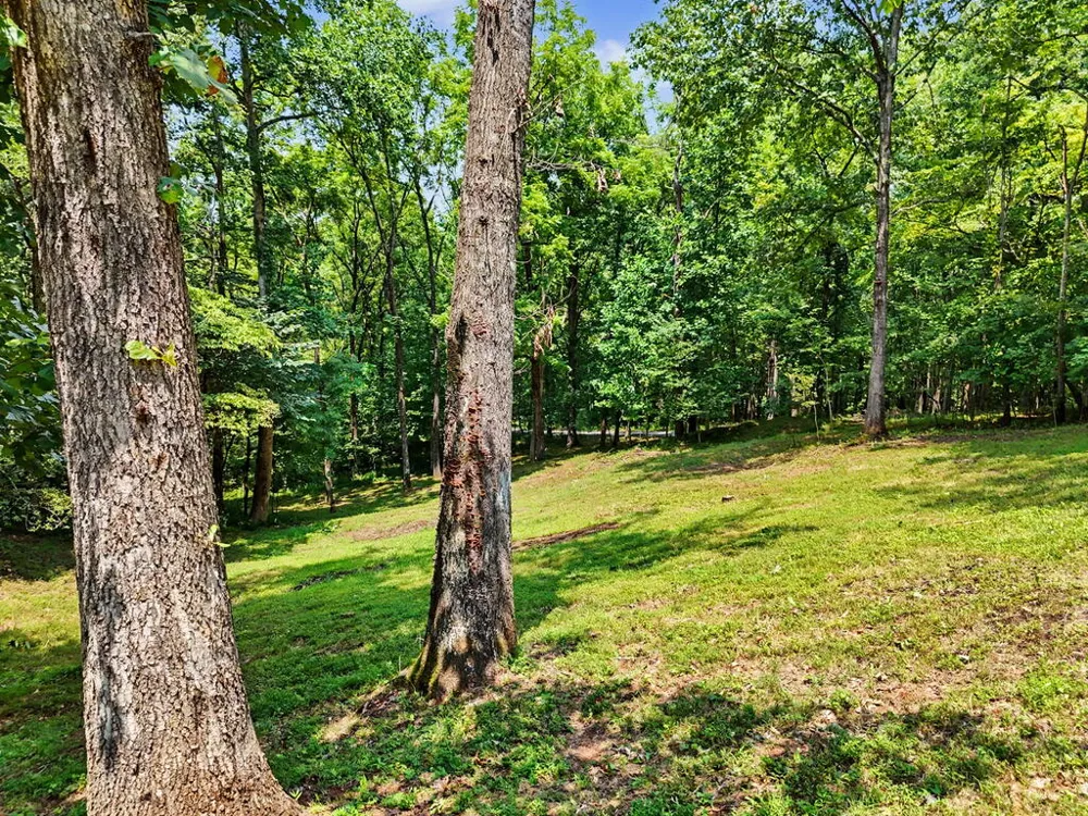 210 Majestic Drive Hayesville, NC 28904