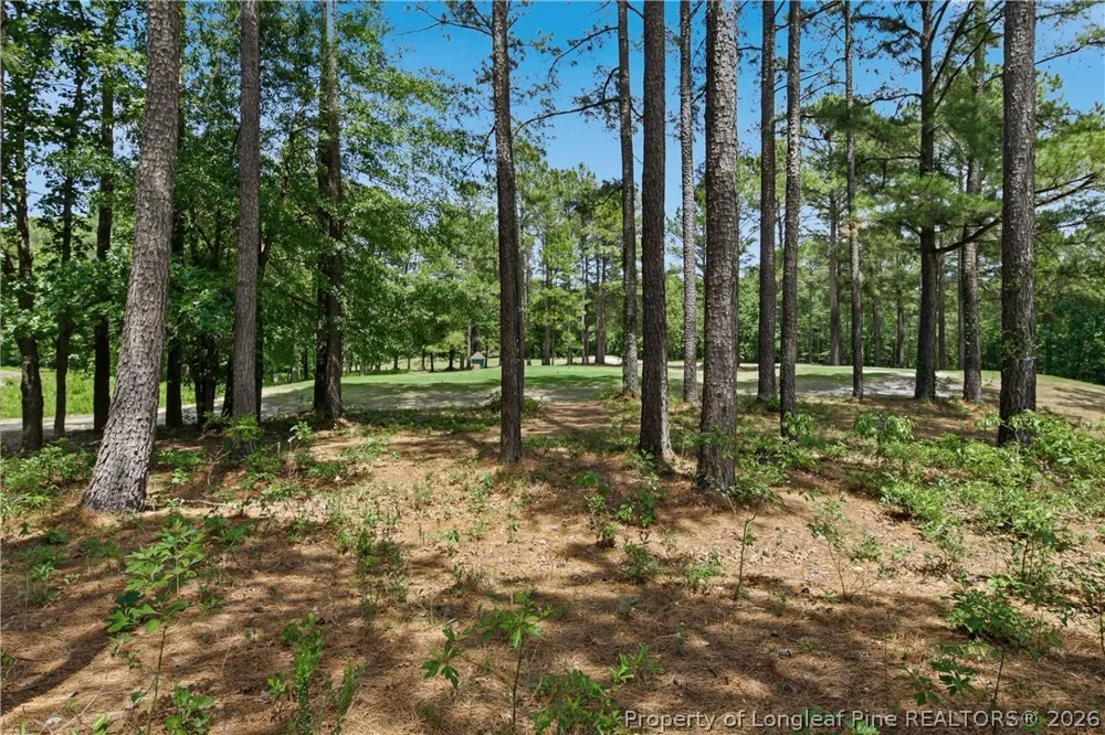 288 Gallery Drive #204 Spring Lake, NC 28390