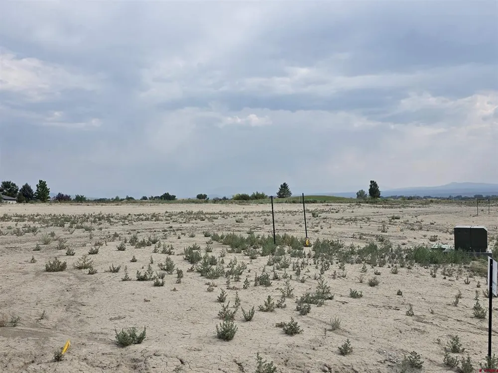 2215 Chimney Rock Way Montrose, CO 81401