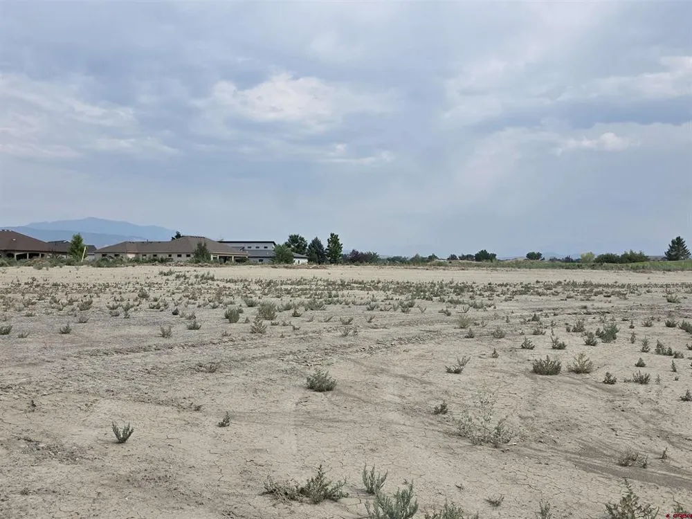 2215 Chimney Rock Way Montrose, CO 81401