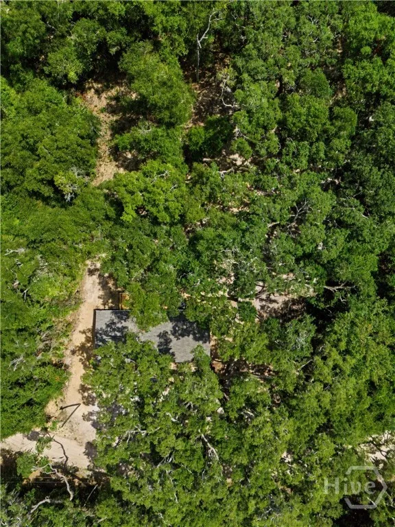 1228 Hatcher Drive NE Townsend, GA 31331