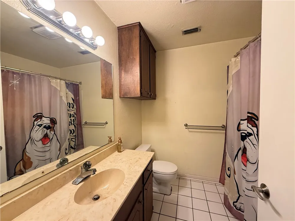 907 Hercules Drive E Bishop, TX 78343
