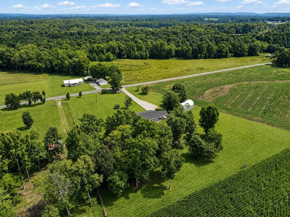 1183 County Road 147 Henagar, AL 35978