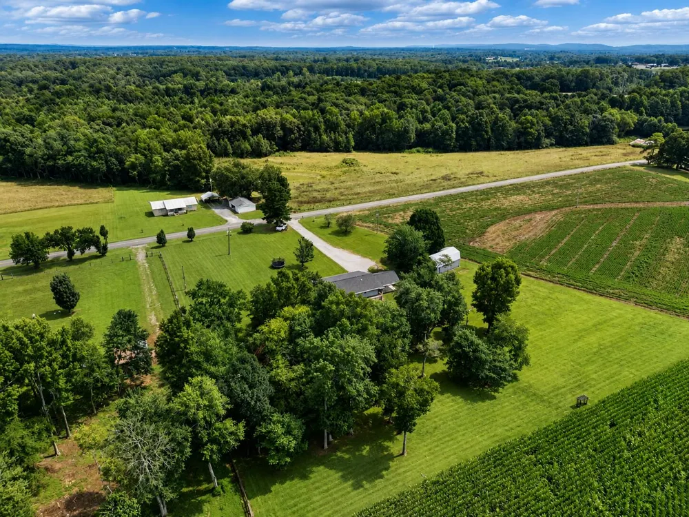 1183 County Road 147 Henagar, AL 35978