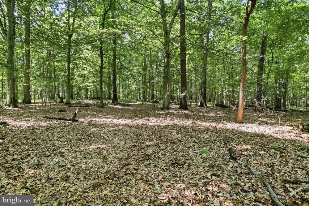 3555 MILL GREEN ROAD Street, MD 21154
