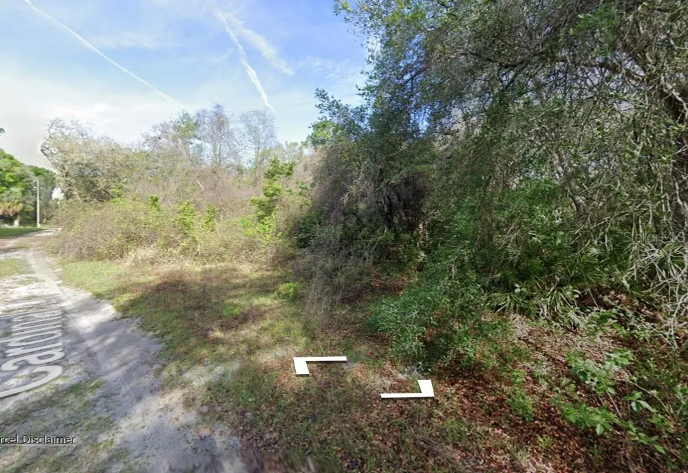 0 NE 437TH AVE Old Town, FL 32680