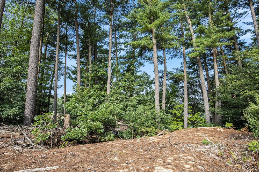 12487 Horseshoe Drive NE Oakfield Township, MI 49326