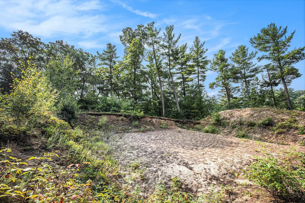 12487 Horseshoe Drive NE Oakfield Township, MI 49326