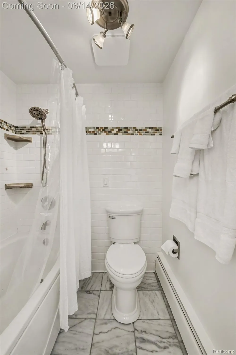 11042 W Mount Morris Road Flushing Charter Township, MI 48433