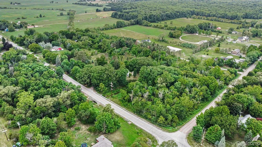 11042 W Mount Morris Road Flushing Charter Township, MI 48433