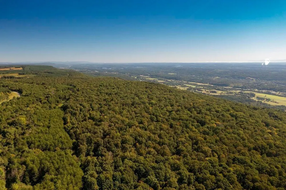 55 Wash Pelfrey Road Evensville, TN 37332