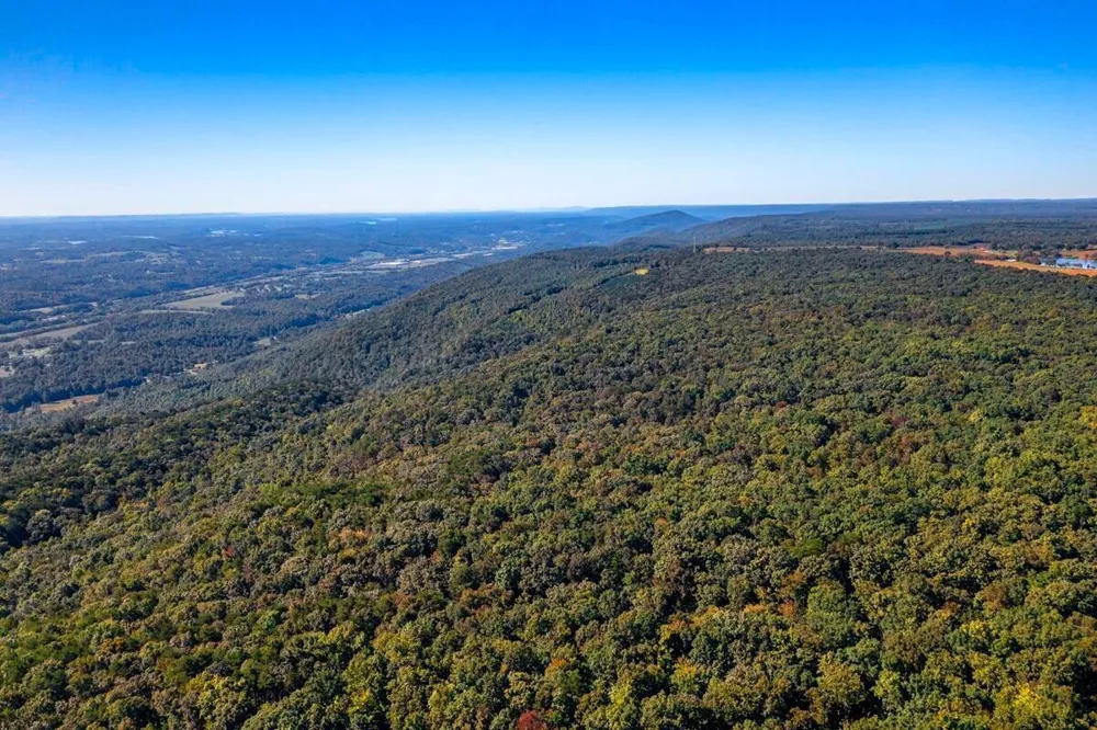 55 Wash Pelfrey Road Evensville, TN 37332