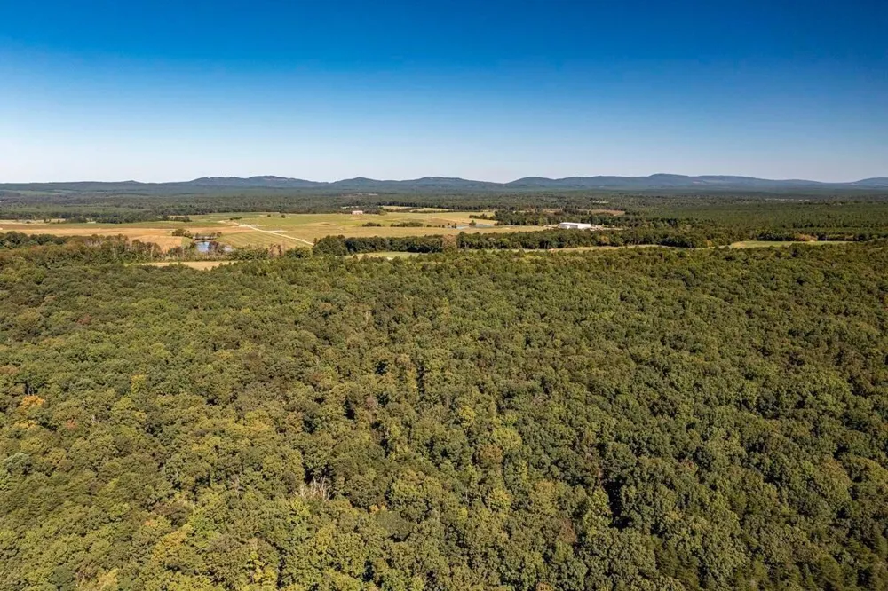 55 Wash Pelfrey Road Evensville, TN 37332