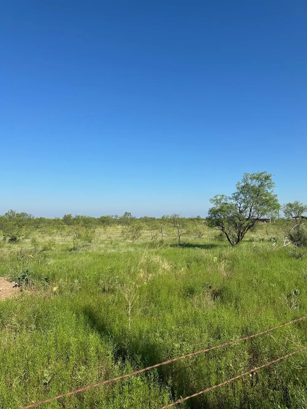 CR 105 Abilene, TX 79601