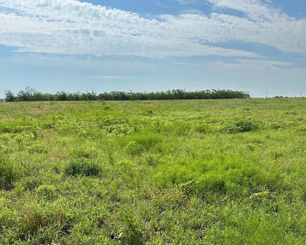 CR 105 Abilene, TX 79601