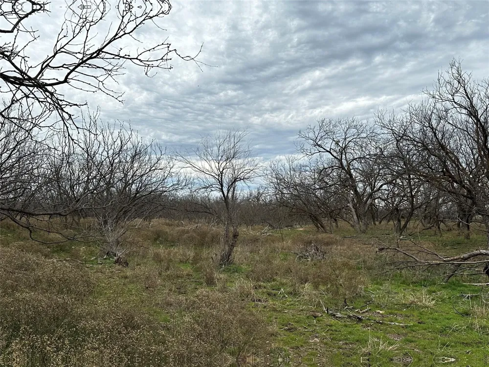 CR 105 Abilene, TX 79601