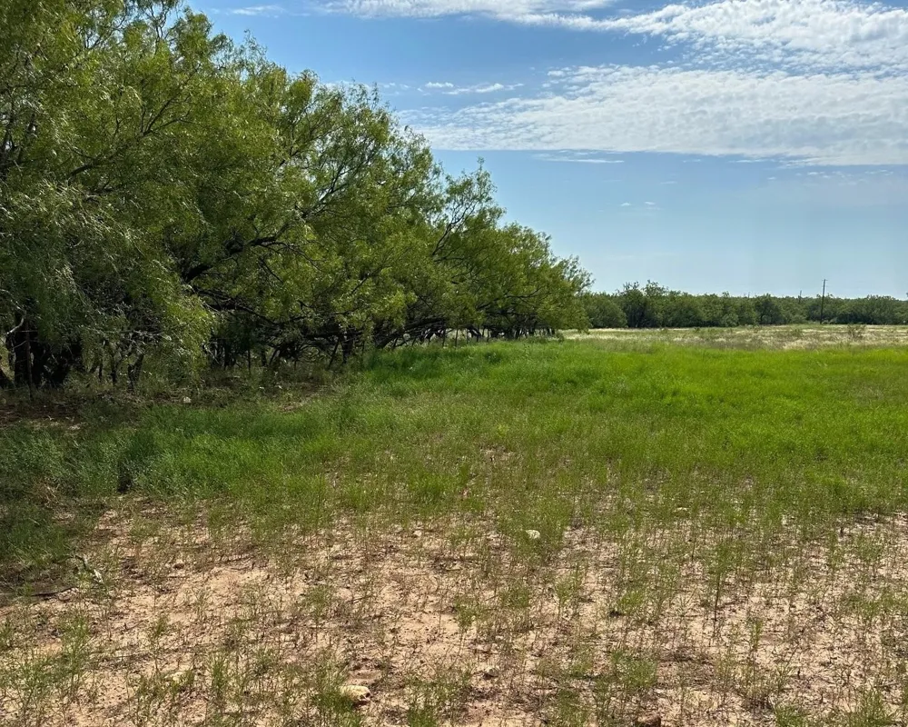 CR 105 Abilene, TX 79601