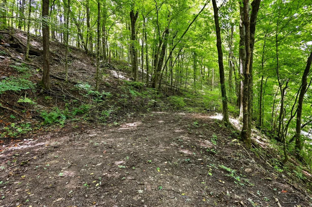 225 Coys Cove Ln Gainesboro, TN 38562