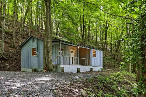 225 Coys Cove Ln