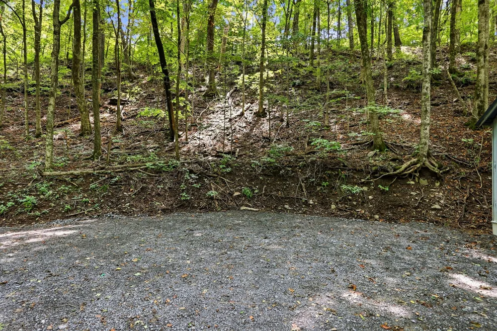 225 Coys Cove Ln Gainesboro, TN 38562