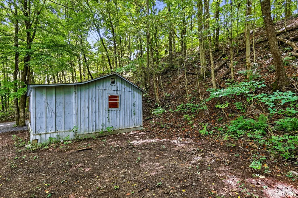 225 Coys Cove Ln Gainesboro, TN 38562