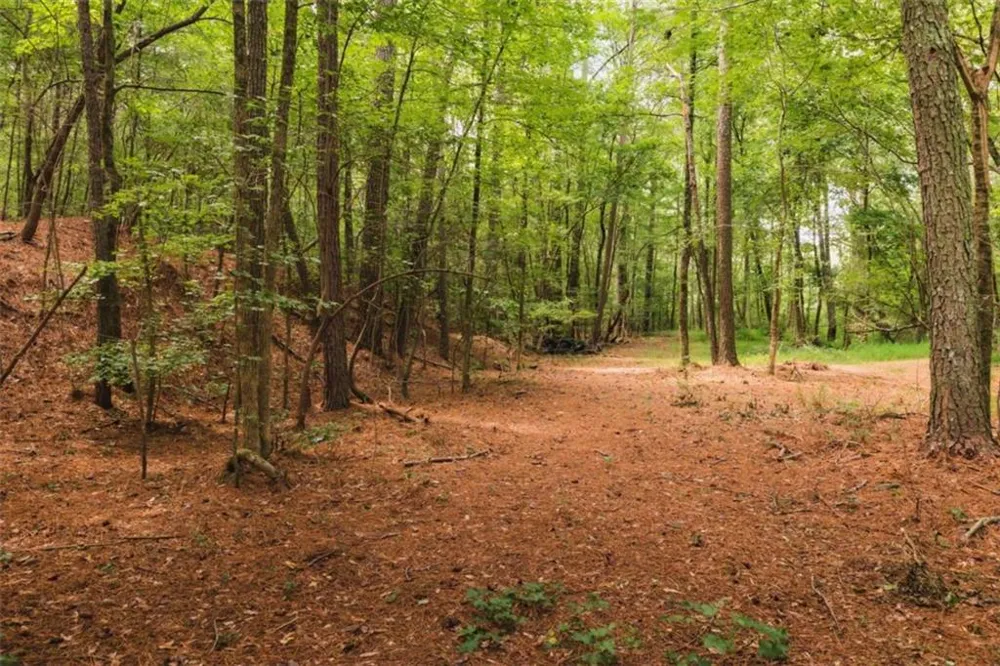 1910 Ridgeway Road Trion, GA 30753