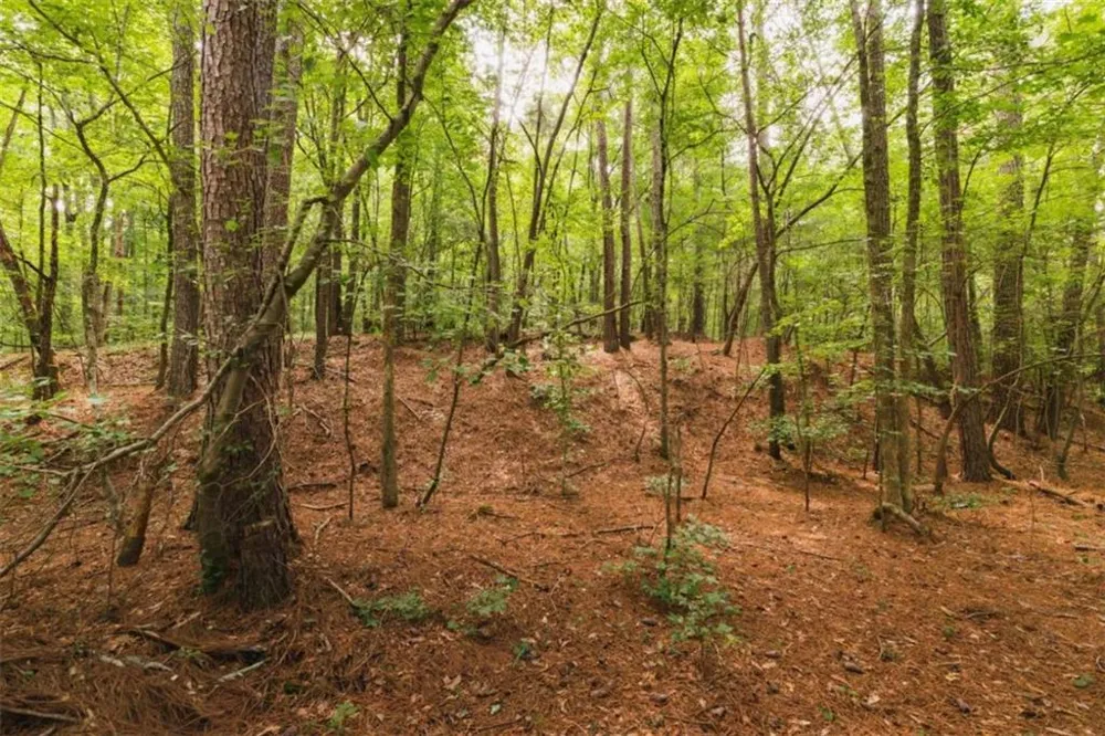 1910 Ridgeway Road Trion, GA 30753