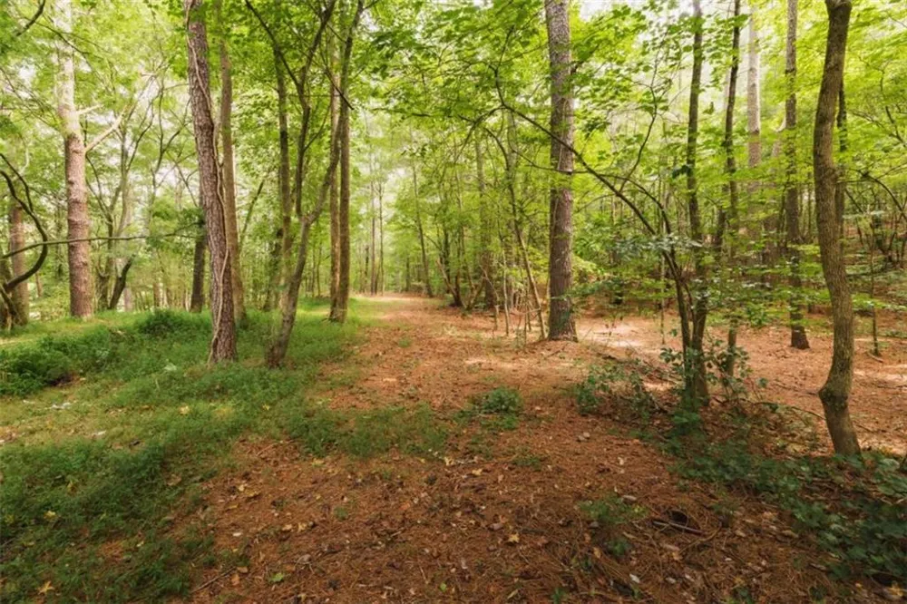 1910 Ridgeway Road Trion, GA 30753