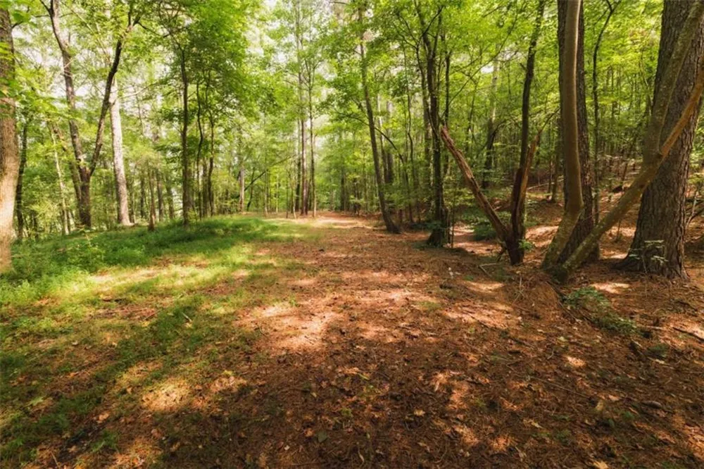 1910 Ridgeway Road Trion, GA 30753