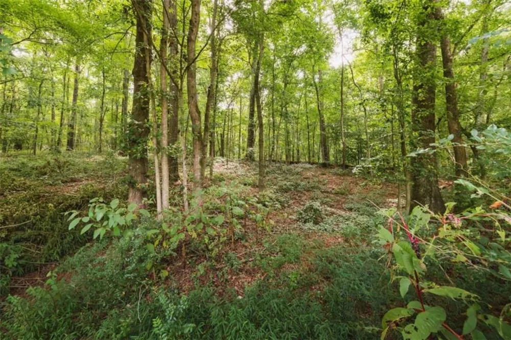 1910 Ridgeway Road Trion, GA 30753