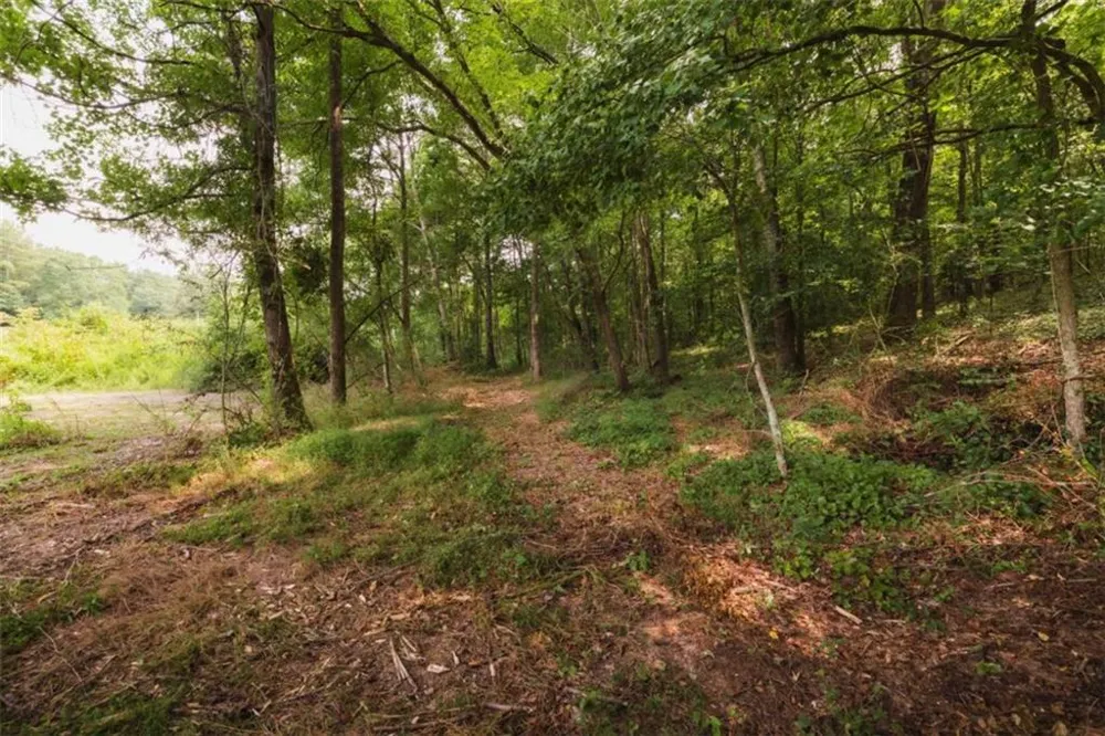 1910 Ridgeway Road Trion, GA 30753