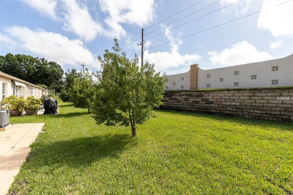 11436 VERSAILLES LANE Port Richey, FL 34668