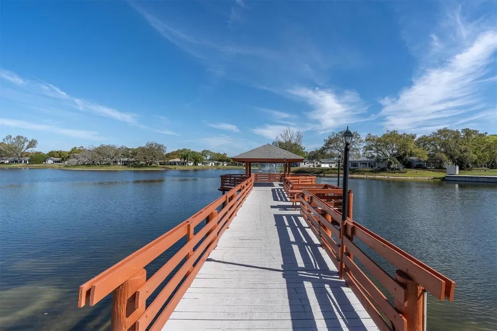 11436 VERSAILLES LANE Port Richey, FL 34668