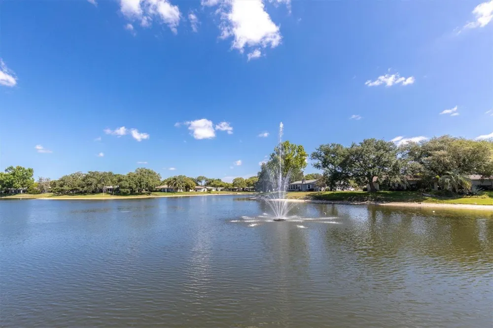 11436 VERSAILLES LANE Port Richey, FL 34668