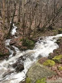 13 Galega Trail Maggie Valley, NC 28751