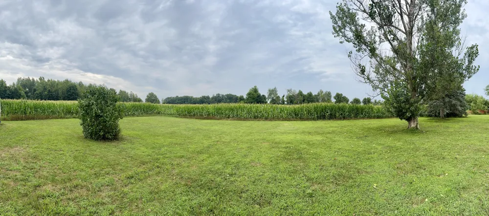 6352 Gavin Lake Avenue NE Rockford, MI 49341