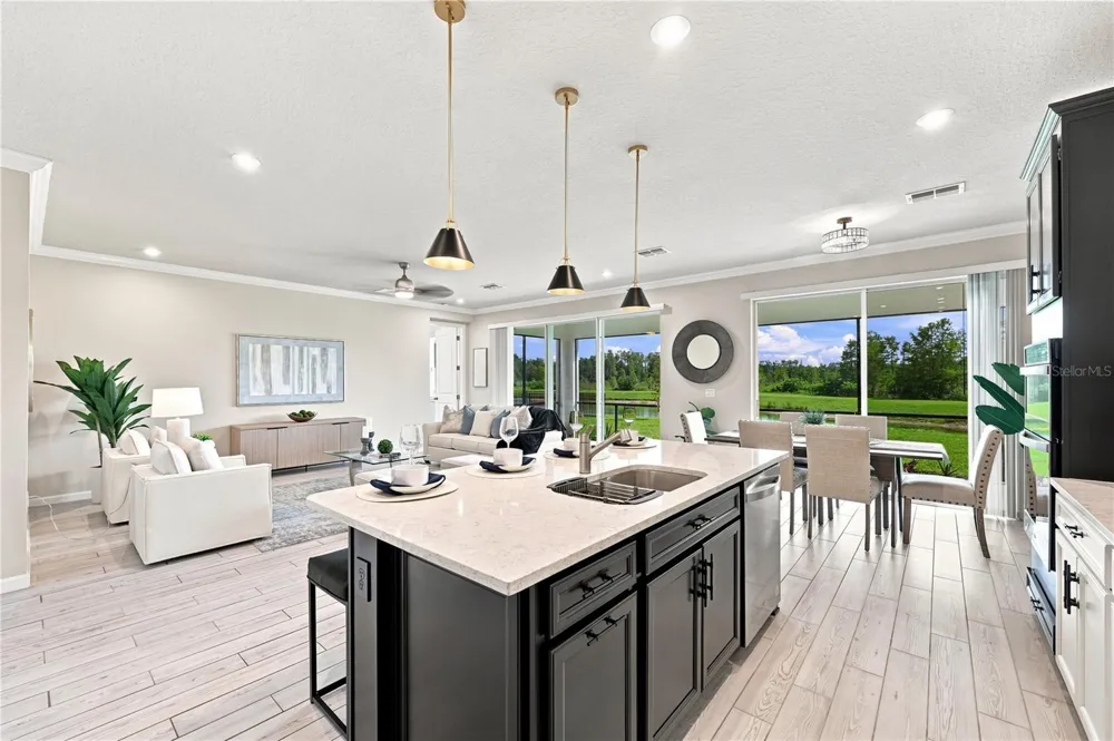19780 BLUE POND DRIVE Lutz, FL 33558