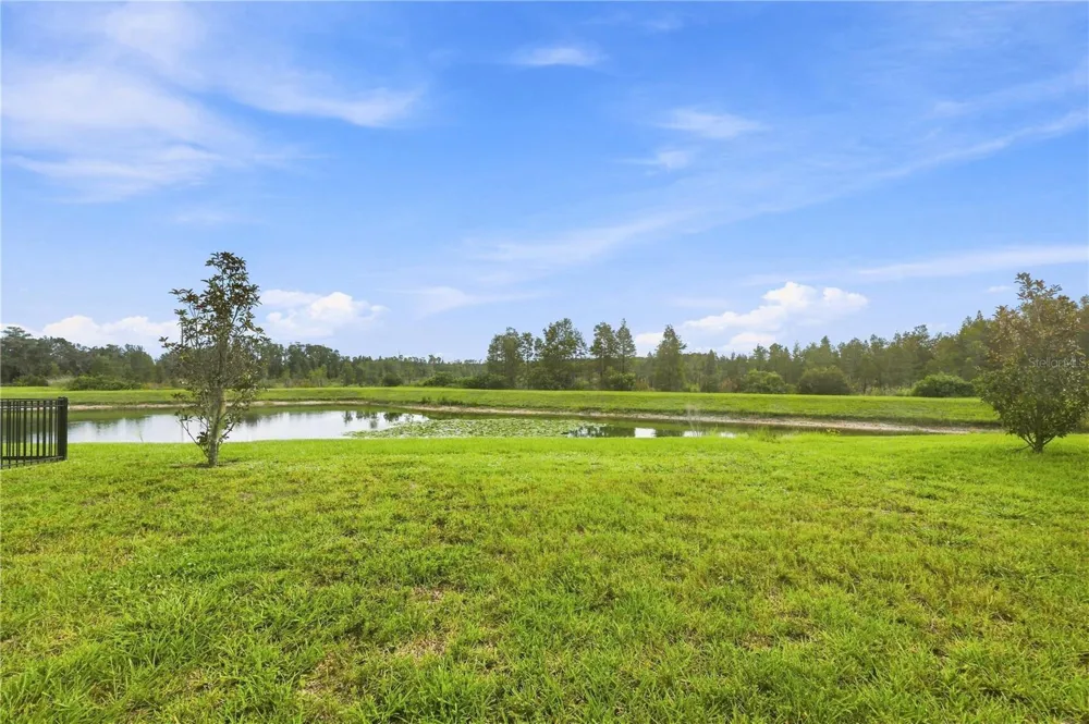 19780 BLUE POND DRIVE Lutz, FL 33558