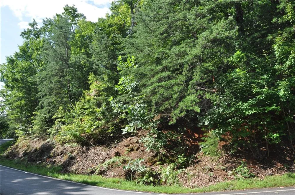 8261 Cox Mountain Drive Big Canoe, GA 30143