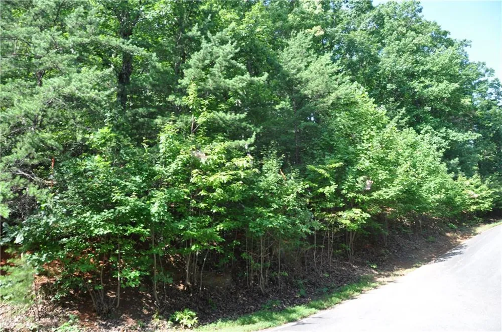8261 Cox Mountain Drive Big Canoe, GA 30143
