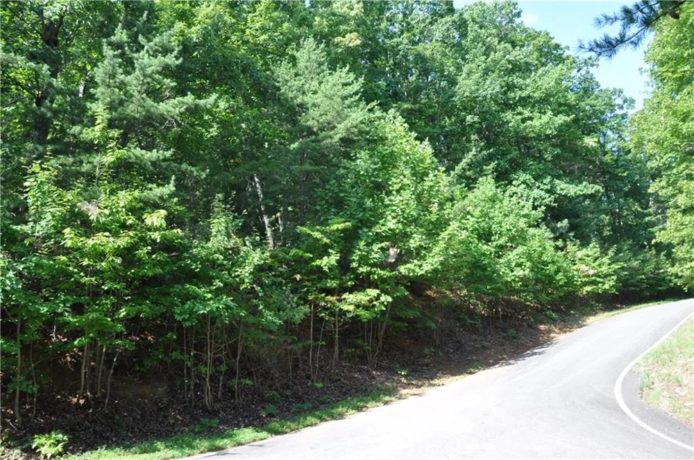 8261 Cox Mountain Drive Big Canoe, GA 30143