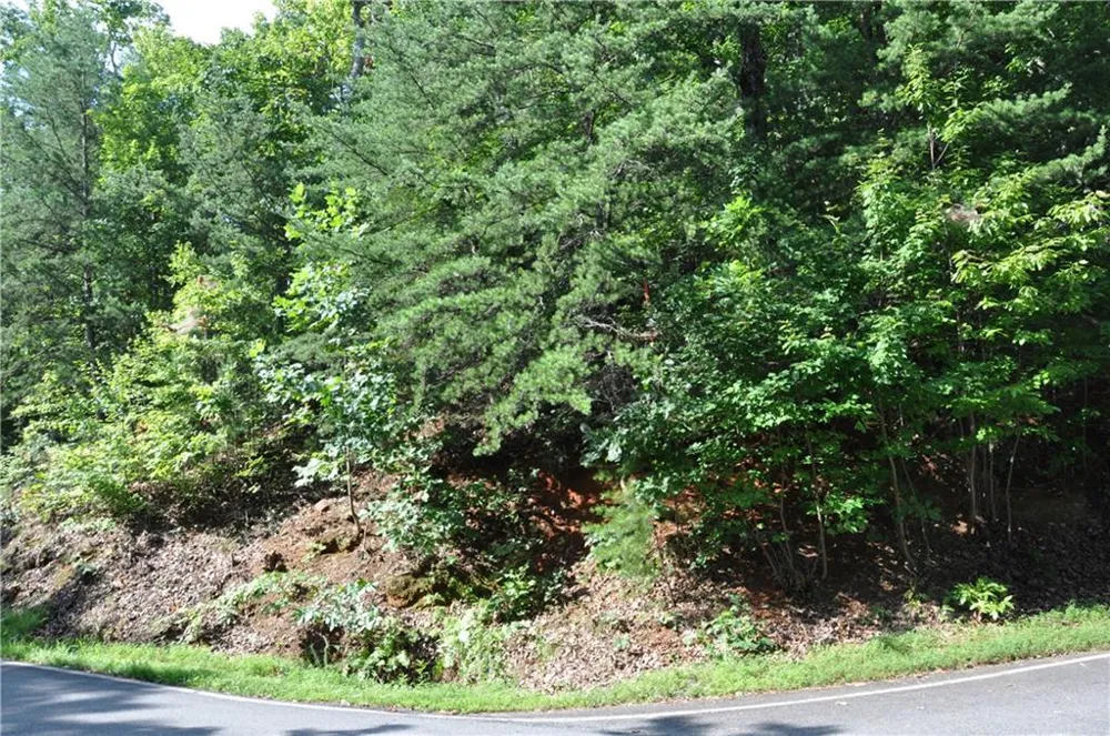 8261 Cox Mountain Drive Big Canoe, GA 30143