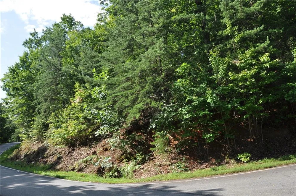 8261 Cox Mountain Drive Big Canoe, GA 30143
