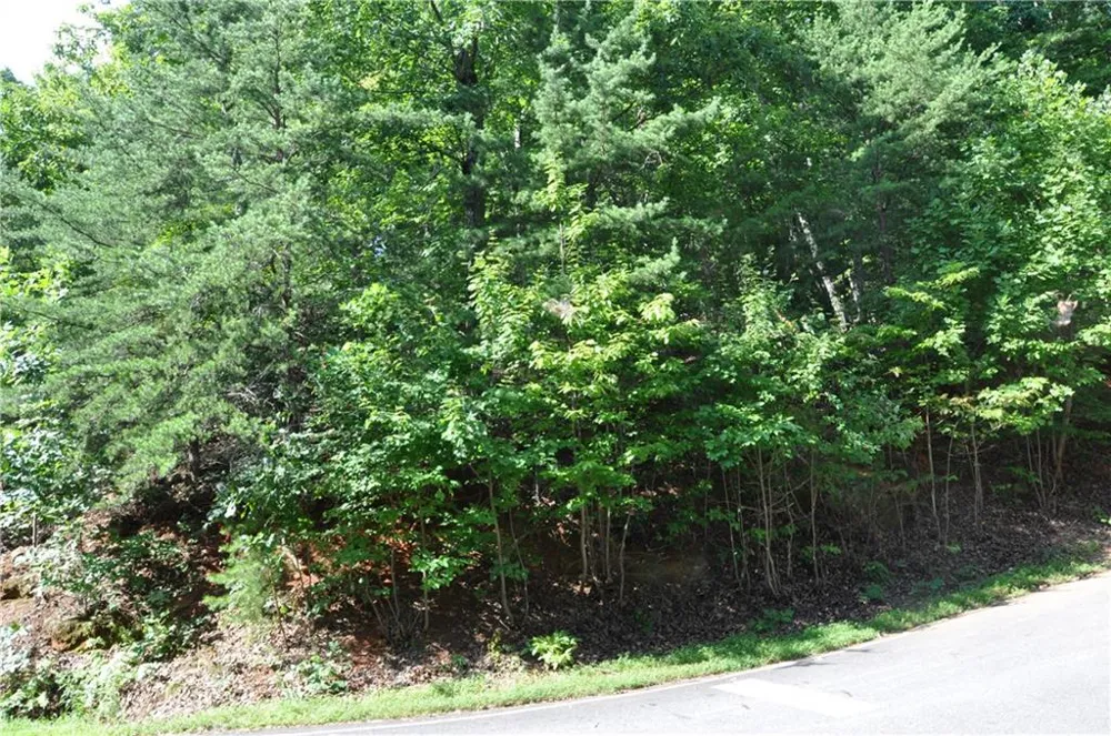 8261 Cox Mountain Drive Big Canoe, GA 30143