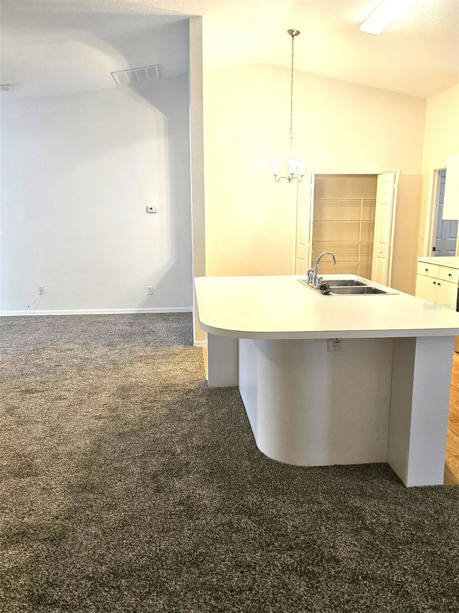 25173 MERCEDES DRIVE Punta Gorda, FL 33983
